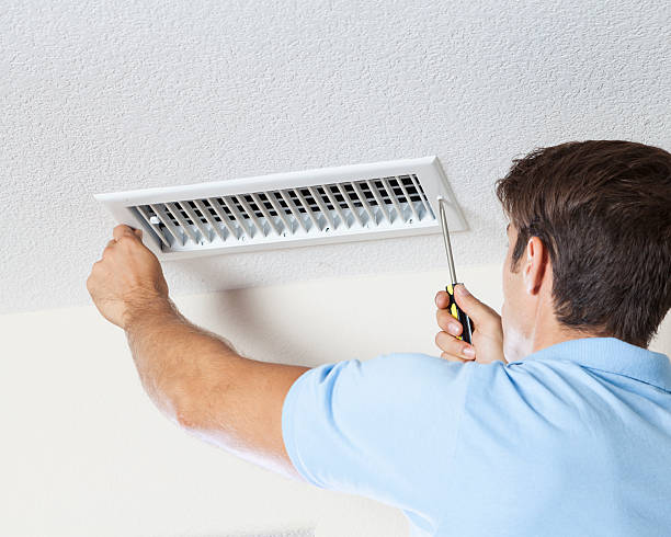 Best Attic Mold Removal  in USA